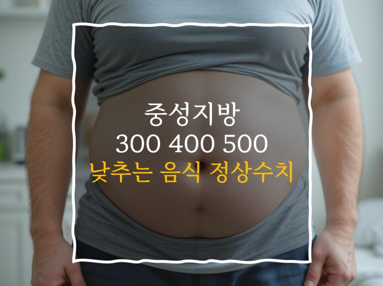 중성지방 300 400 500 의미 정상수치