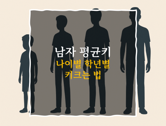 중1 남자 평균키 2026
